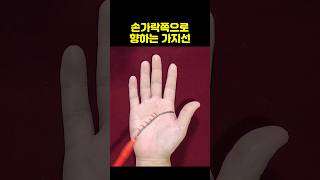 하는 일마다 잘 풀리는 길한 지능선의 가지선 손금 #손금 #재물운 #성공운