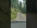 #theog #trees #hatu #drive #green #hill #travel #travelling #travelvlog #millionviews #views #video
