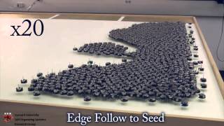 Programmable Self-Assembly on a 1000 Robot Swarm: Science 2014, Video 4