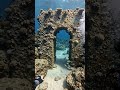 A Giant Stone Arch Was Found Underwater#shorts  #ocean #mystery #deepsea