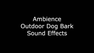 Ambience Outdoor Dog Bark Sound Effects