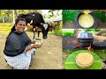     cow colostrum milk recipe  banana leaf cooking