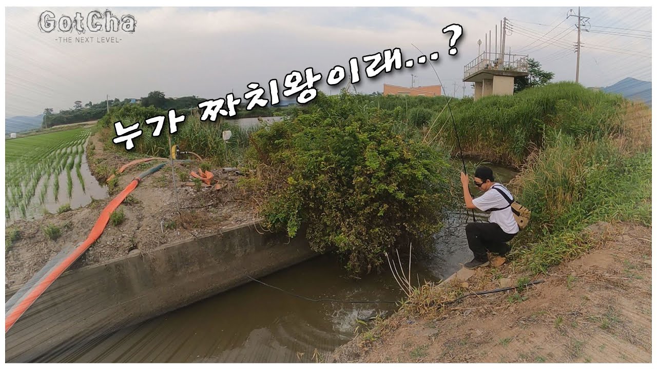 배스들은 스트레이트 웜을 뭐라고 생각할까... 단순하게 지렁이??(feat. 박성완)