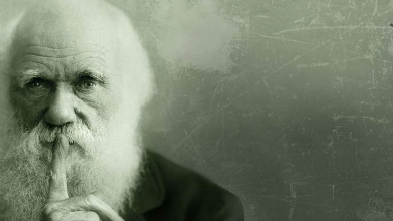 Darwin and Psychiatry - YouTube
