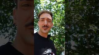 Native gardening is the KEY!! Ever since I’ve started planting native plants, our yard has