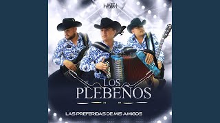 Video thumbnail of "Los Plebeños - El Villano"