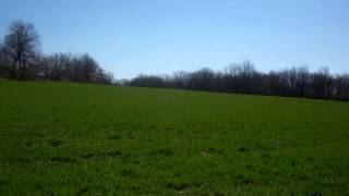 H. Barry Smith Realtors and Auctioneers, LLC 910 Acres KY Auction
