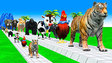 Long Slide Game with Cow Elephant Gorilla Hippopotamus Tiger 3d Animal Game Funny 3d Animals