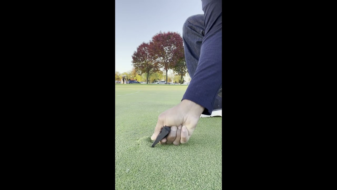 Saber Tooth Divot Tool - Purpose