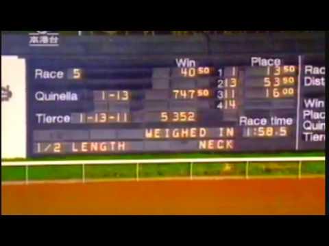 1995 The Kowloon Cricket Club Challenge Cup - Outerwear (飛機恤) - 文羅