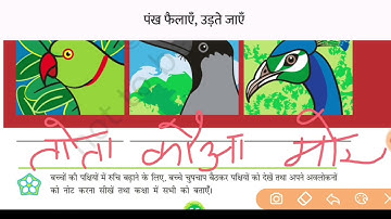 class-3rd/ Environment studies ncert book reading/ with worksheet / lesson -8 पंख फैलाये - उड़ते जाएं