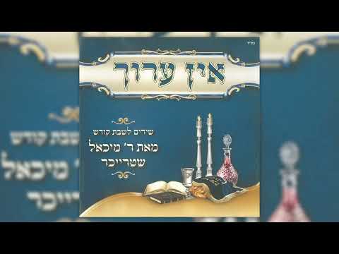 וניקיתי | מיכאל שטרייכר | V'nikeisi | Michoel Streicher
