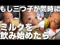 三つ子が並んでミルクを飲みます