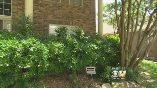 Top 5 Things That Make Your Home A Burglar Target