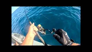 Jigging in 33 meters with the Snap bait triple threat , what can we bring up with it
