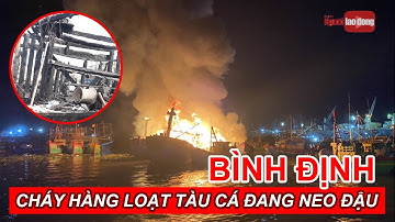 Bình Định Cháy hàng loạt tàu cá đang neo đậu tại cảng cá Quy Nhơn | Báo Người Lao Động