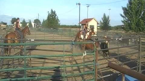 2 man ranch sorting lazy y arena