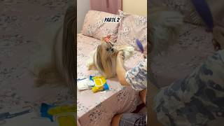 Um dia comigo acabei vomitando uma coisa amarela em cima da cama #pet #pets