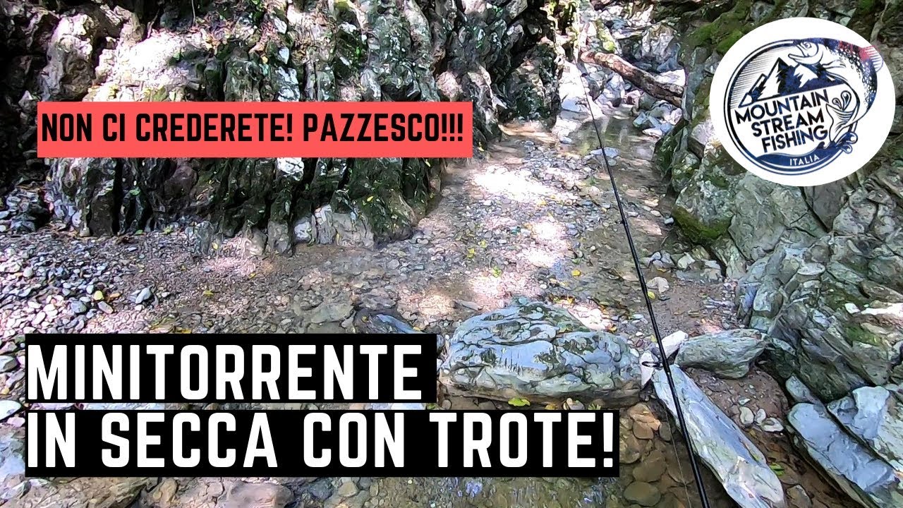 TROTE NEI MINI-TORRENTI [Episodio 10]: NON CI CREDERETE, minitorrente in SECCA.CON TROTE!!!