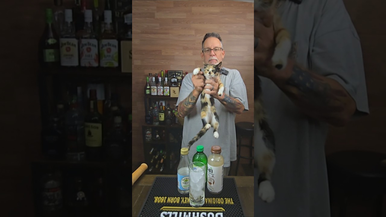 Its National Delaware Day, so we make a Coconut Cooler Mocktail! #shorts #mocktail #coconut #kitten