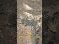 🛰️ Las Vegas from above #shortsvideo