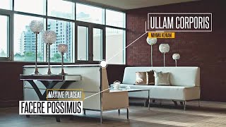 Universal Call Outs After Effects Templates