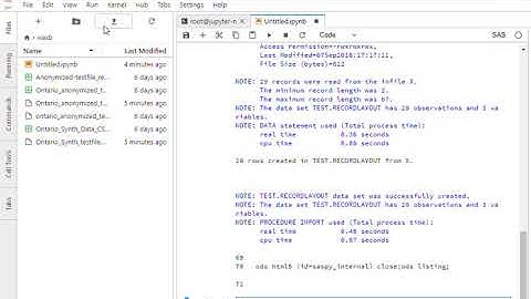 JupyterHub   SAS Demo 2018 09 13