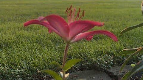 Dabbin in the Radioactive ☢️ Glow