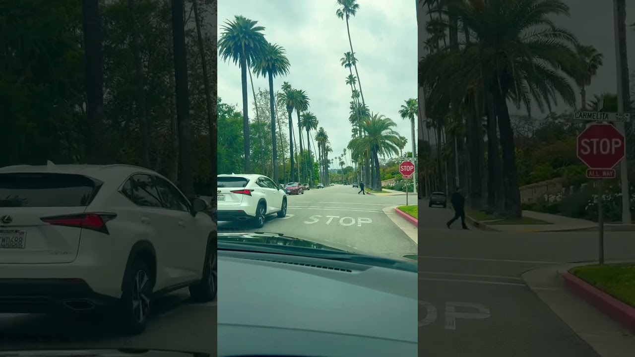 Palm tree road in Beverly Hills🌴 