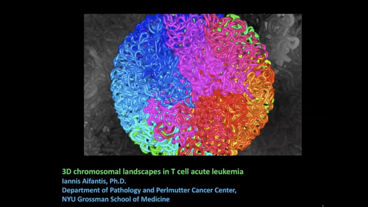 3D Chromosomal Landscapes in T Cell Acute Leukemia