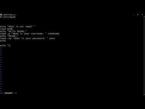 Take User Input in Bash Script