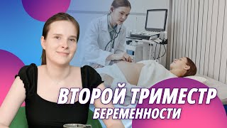 Второй триместр беременности