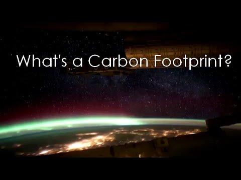 Video: Cụm từ carbon footprint có nghĩa là gì?