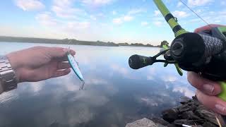 White Slough fishing … looking for stripers and black bass