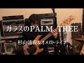 ガラスのPALM TREE / 杉山清貴&amp;オメガトライブ(bass cover)