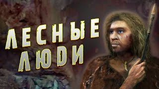 Загадочная Встреча С Лесными Людьми В Глухой Тайге!