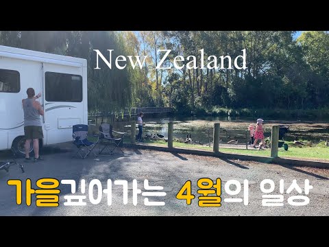 60대 싱글, 쉐어하우스 오픈 했더니...뉴질랜드 시니어 일상브이로그