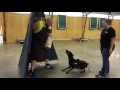 Elite Personal Protection Dog Elite Personal Protection Dog