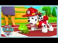 PAW Patrol Pups Save A Flying Frog Animal Saves Compialtion WildBrain Bananas 