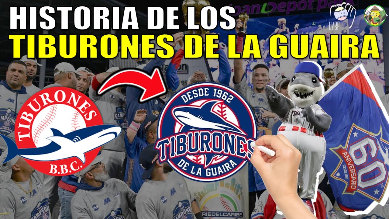 La Historia de los Tiburones de la Guaira en 5 Minutos - YouTube