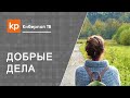 О прощении обид. Как простить человека