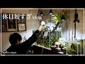 【休日Vlog】水槽と植物いじってたら終了する休日/アクアリウム/観葉植物/aquarium/vlog/#29
