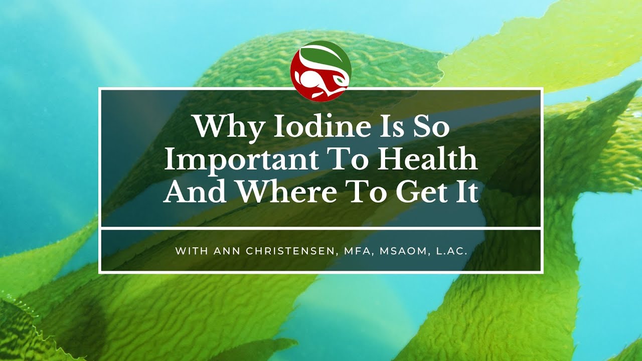 why-iodine-found-in-kelp-is-so-important-to-overall-health-youtube