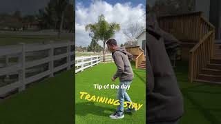 How to train “stay”
