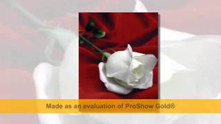 Download Lagu Happy Birthday To Ikhlas MP3