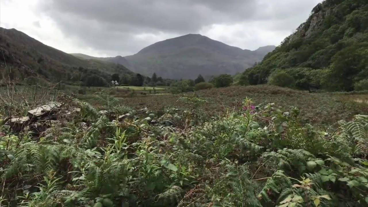 FALLEN STAR TRACK #3 “ LOOK INTO MY EYES “ Home Demo recording 1998. Produced by Paul Jones