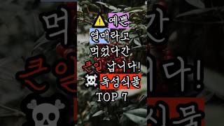 🚨 절대 먹으면 안 되는 독성 식물 TOP 7 🍒☠️