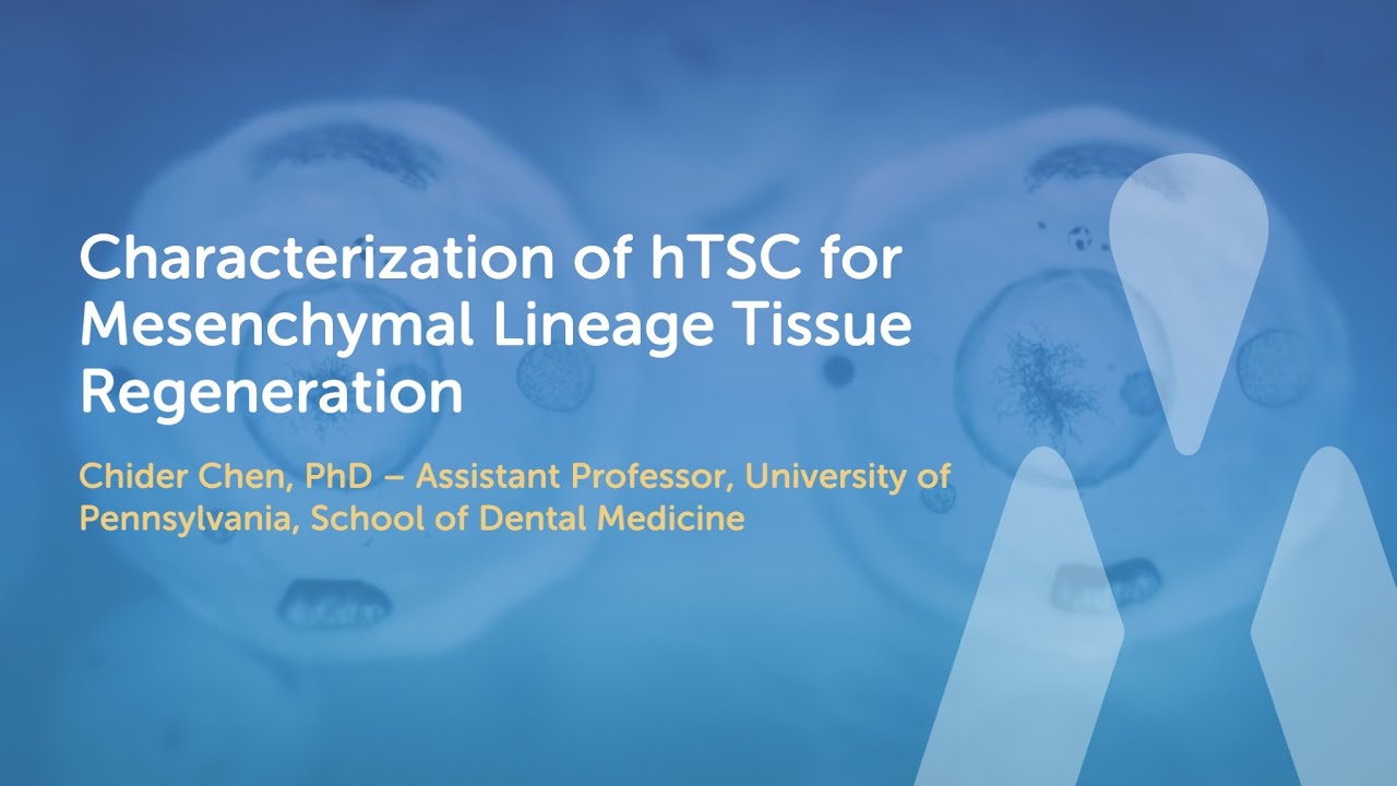 1st TSC Forum | Characterization of hTSC for Mesenchymal Lineage Tissue Regeneration