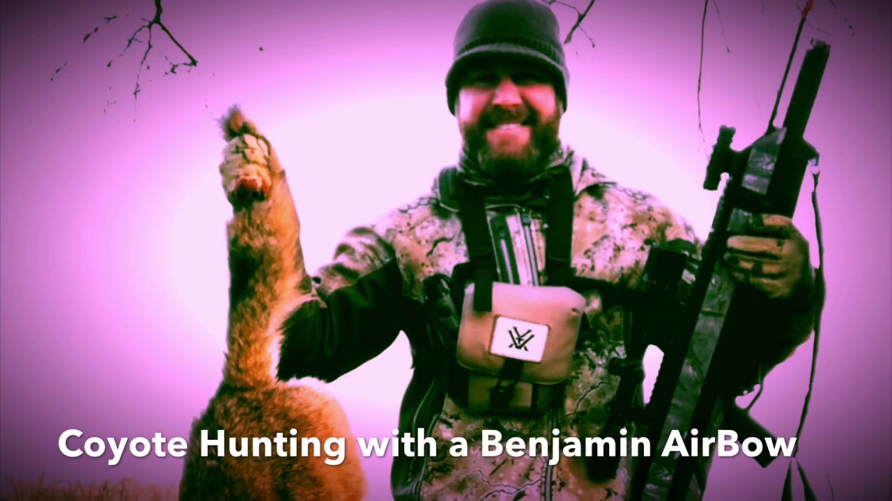 Coyote/Predator Hunting with a Benjamin Pioneer Air Bow Air GunCrimson