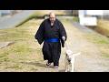 Wait, This is Forbidden? Sumo Stable Tour with Moriurara